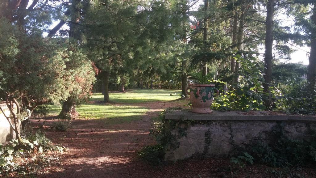 Relais De La Haute Pommeraye Apremont  ภายนอก รูปภาพ